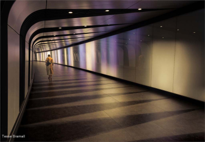 Tunnel Of Lights