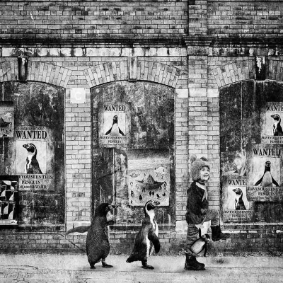 Humprey And The Wanted Posters