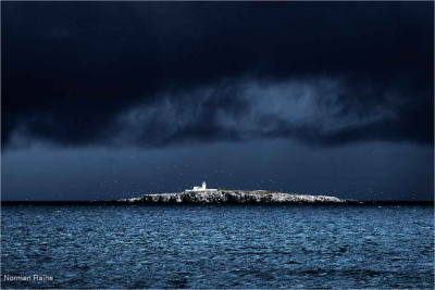 Lighthouse  Inner Farne