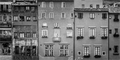 Overlooking The Arno