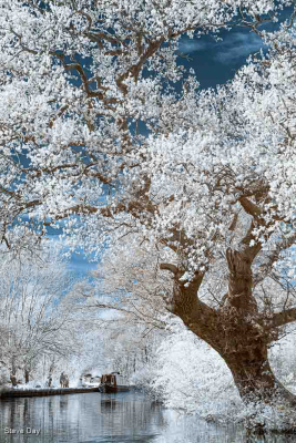 Spring Day In Barleston