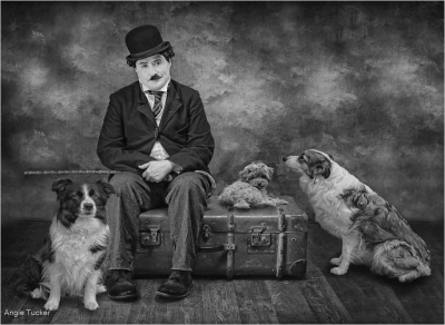 Who Let The Dogs Out
