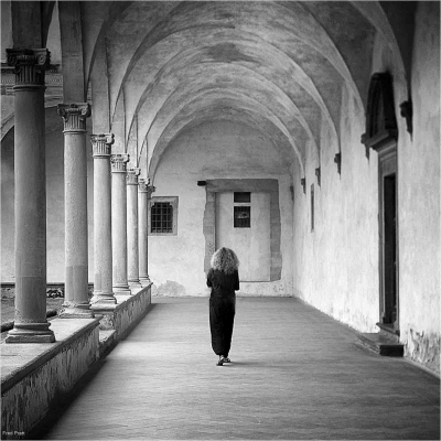 Contemplation