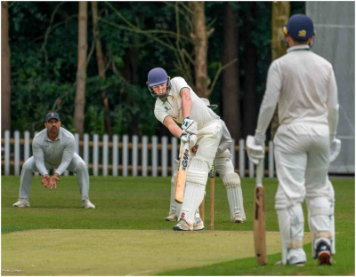 In The Crease