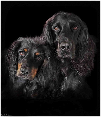 Koda And Lola