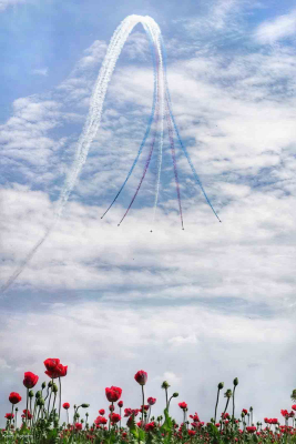 Lest We Forget