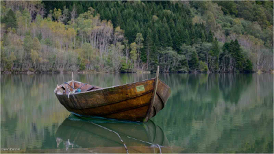 Still Waters