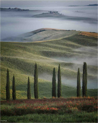 Tuscan Layered Landscape