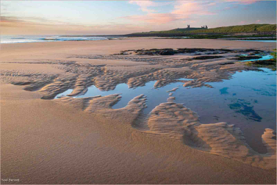 Patterns In The Sand