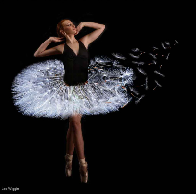 Nature Of The Dance