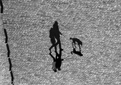 Shadowland