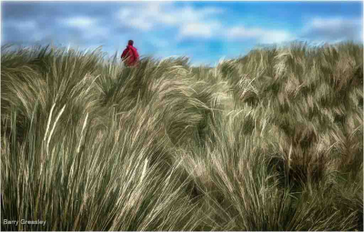 Strolling The Dune Grasses