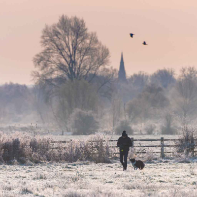 Winter Walk