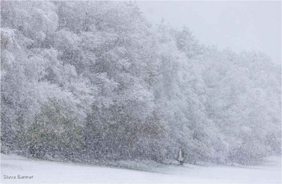 Caught In The Winter. Storm