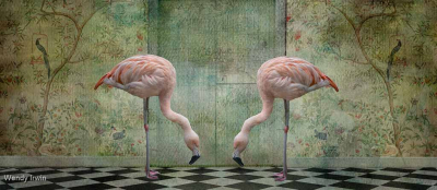 Flamingos-In-Wonderland-by-Wendy-Irwin
