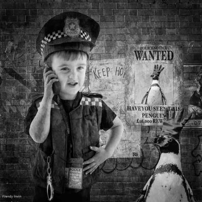 I_Ve Found The Wanted Penguin