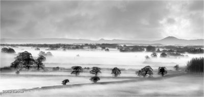 Wrekin View