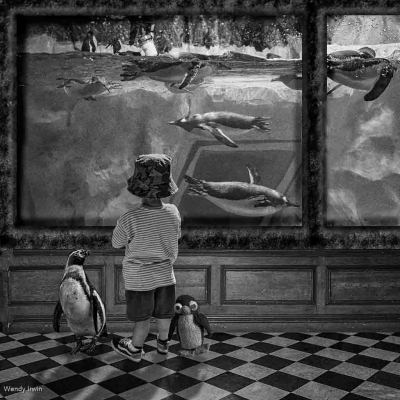 At The Aquarium