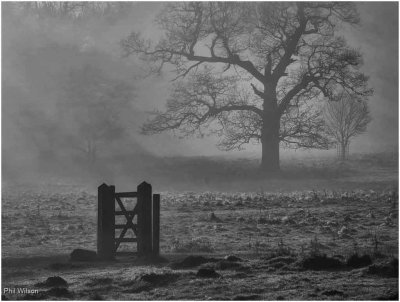 Lone Gate