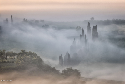 Morning Has Broken