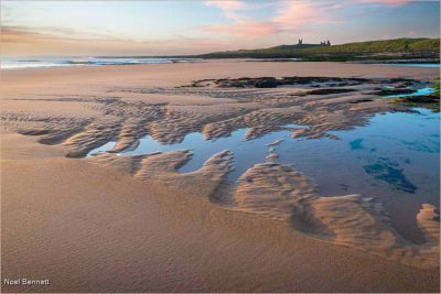 Patterns In The Sand