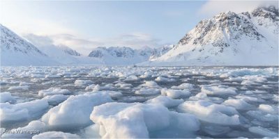 Sea Ice At 3Am