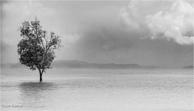Storm Approaching