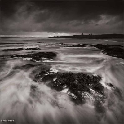 Storm Tide 20