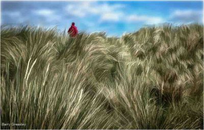 Strolling The Dune Grasses