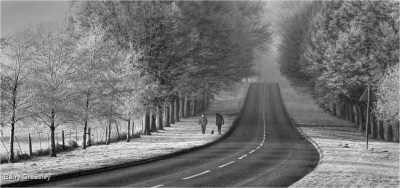 Strolling Winter Wonderland