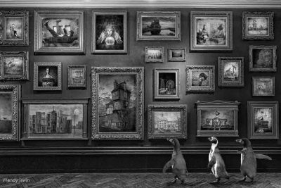 The Penguins Visit The Gallery Mono