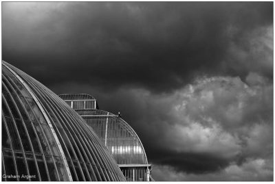 The Victorian Glasshouse
