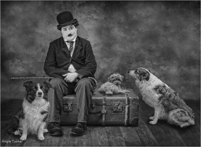 Who Let The Dogs Out M