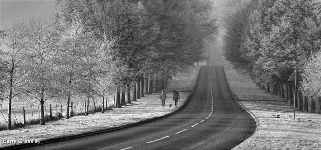 Strolling Winter'S Wonderland
