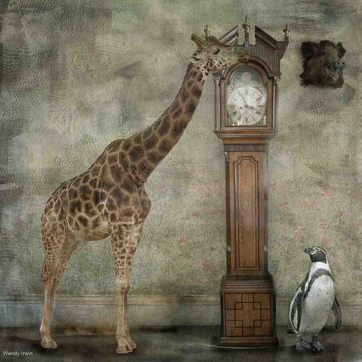 What Time Is It Mr Giraffe, Wendy Irwin