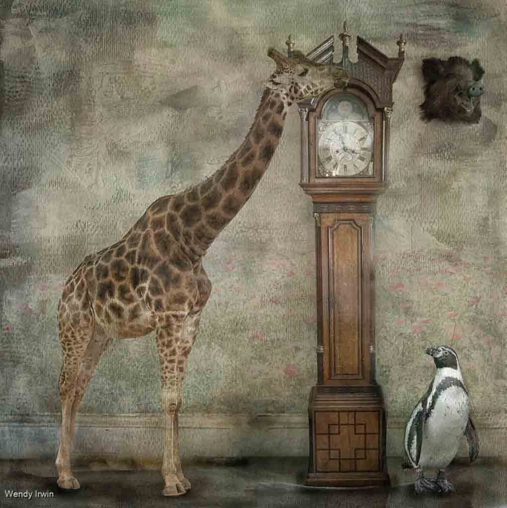 What Time Is It Mr Giraffe