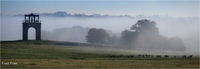 A Misty Shugborough