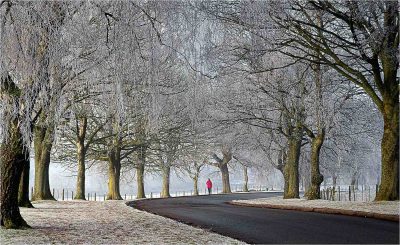 A Stroll In The Frost , Barry Greasley