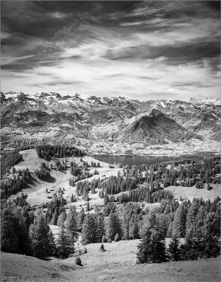 Alpine View, Phil Wilson
