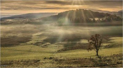 Gartmore Dawn, Phil Wilson