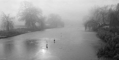 Gliding On Ice, Barry Greasley