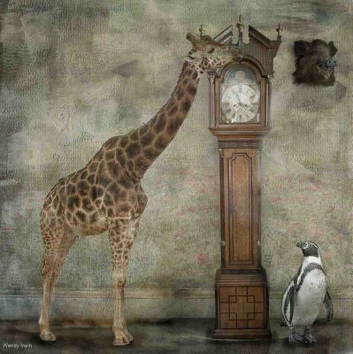 What Time Is It Mr Giraffe, Wendy Irwin