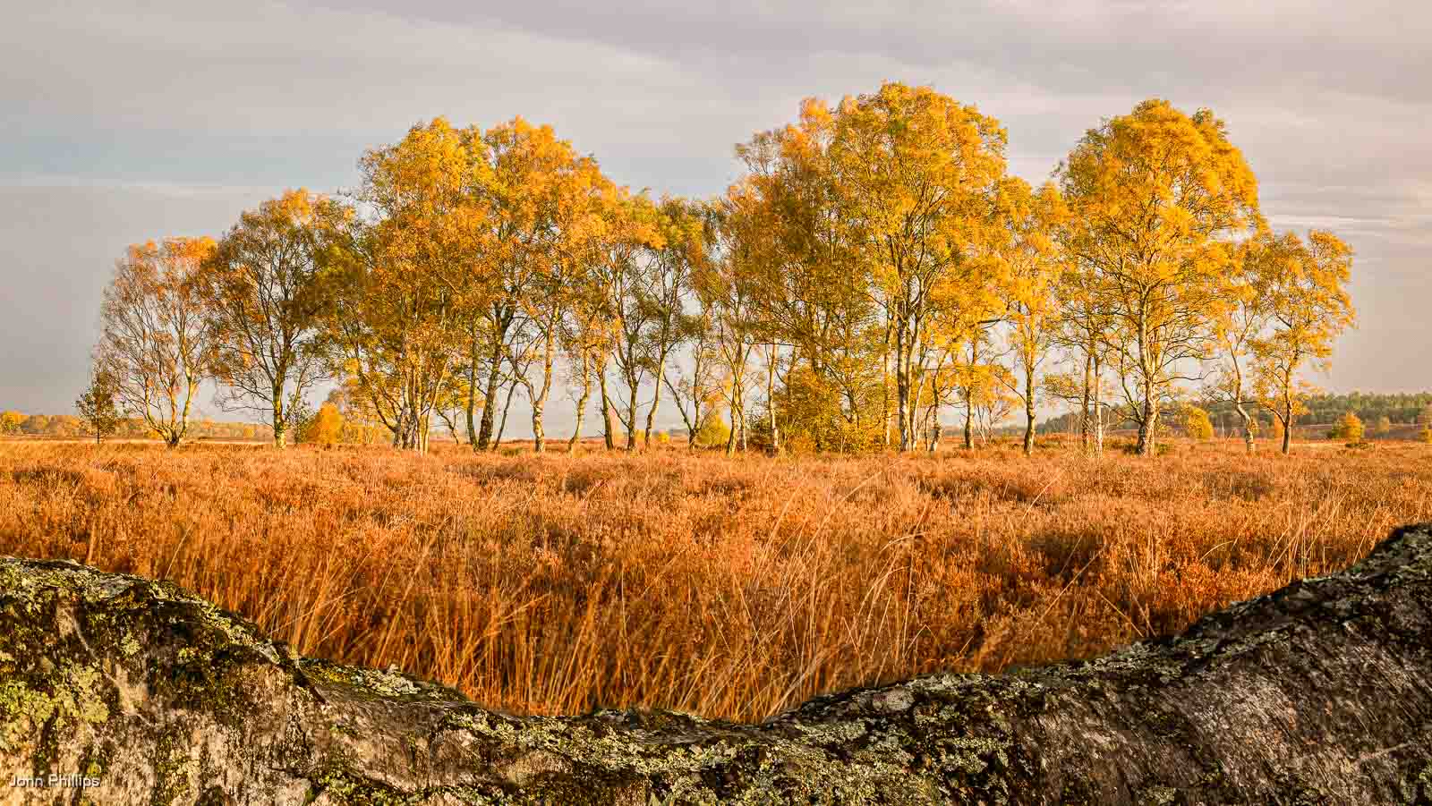 Autumn Sunrise On Cannock_ Chase, John Phillips