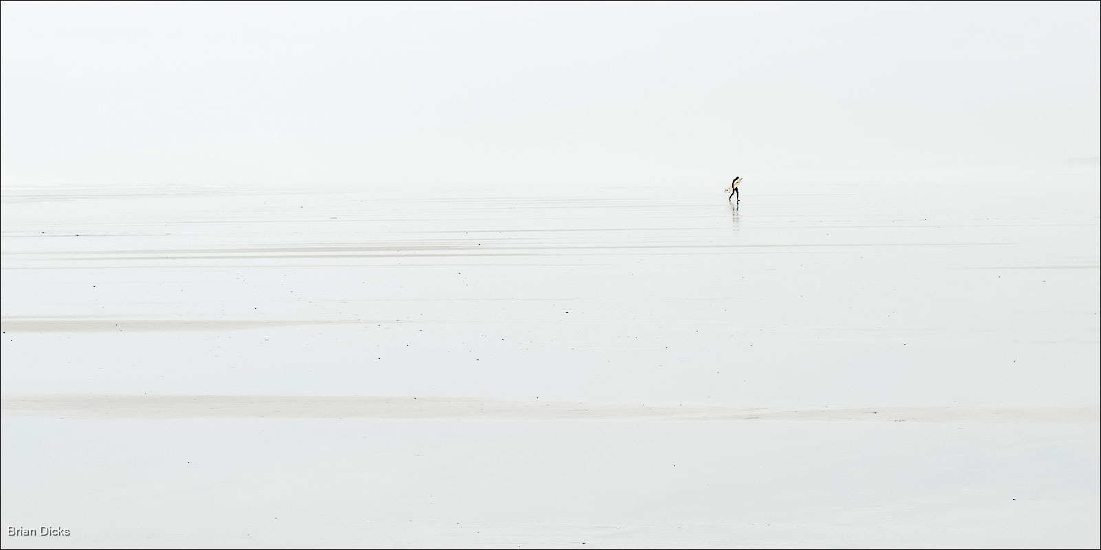 Leaving The Beach, Brian Dicks