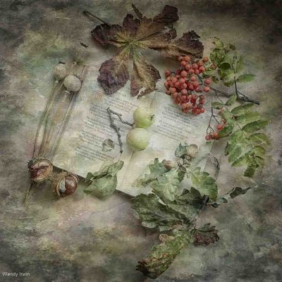 Autumn Harvest