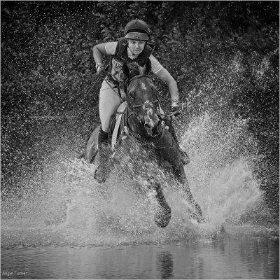 Bursting Through, Angie Tucker