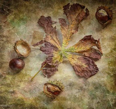 Conkers And Leaf  Copy, Wendy Irwin