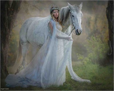 Dappled, Angie Tucker