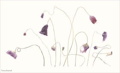 Fade Away, Tessa Bramall