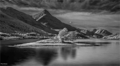 Island Of Light, Phil Wilson